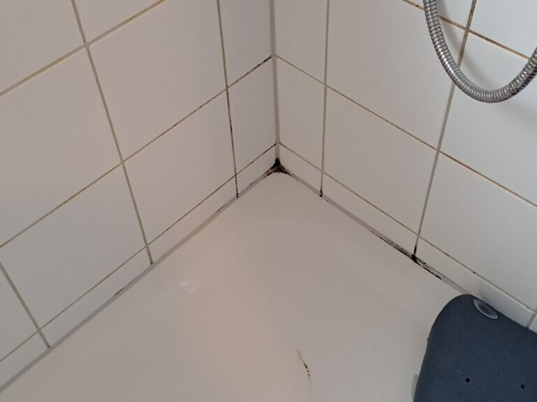 Badezimmer Schimmel