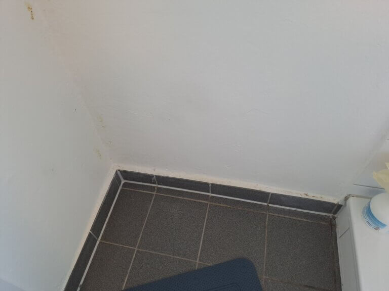 Schimmelentferung Wohnung