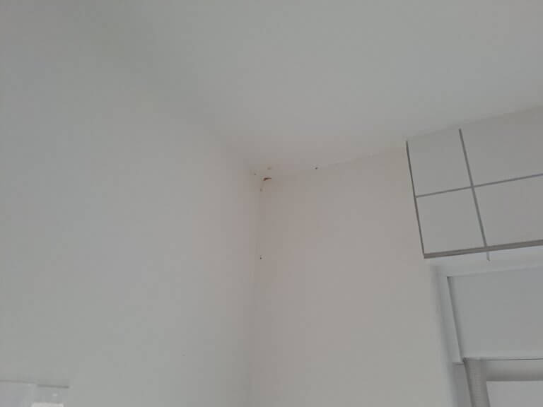Badezimmer nach Schimmelentfernung
